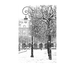 Snowfall In Place Des Vosges By Rebecca Plotnick
