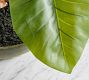 Faux Alocasia Bonsai Plant