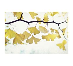 Ginkgo Paper by Lupen Grainne