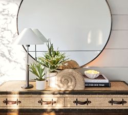 Faux Potted Staghorn Fern