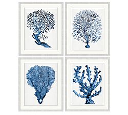 Coral in Blue Framed Prints