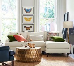 Naturalist Moth Framed Prints