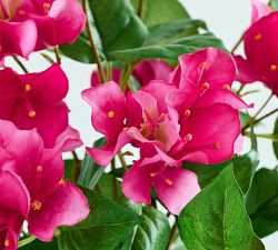 Faux Bougainvillea Bundle