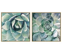 Garden Succulent Canvas