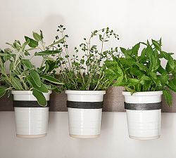 Mission Modular System Collection, Canister