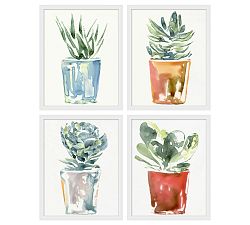 Potted Succulent Framed Prints