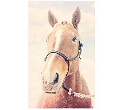 Patiently Waiting Framed Print by Jennifer Meyers