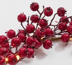 Cranberry String Lights