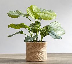 Nevow Planter Basket