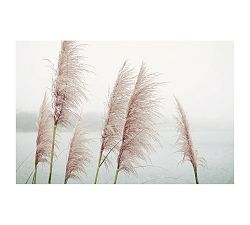 Wild Pampas by Lupen Grainne