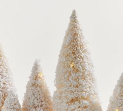 Lit Bottlebrush Tree Centerpiece