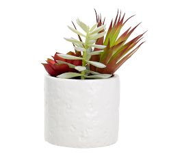 Faux Succulent Arrangement