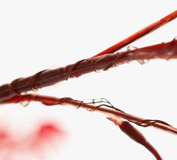 Lit Faux Japanese Maple Tree