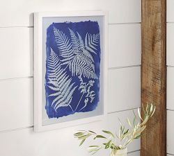 Cyanotype Framed Prints