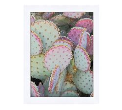 Pricky In Pink Print