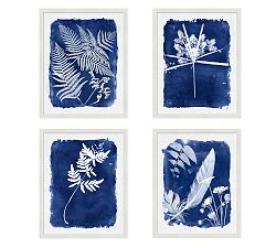 Cyanotype Framed Prints