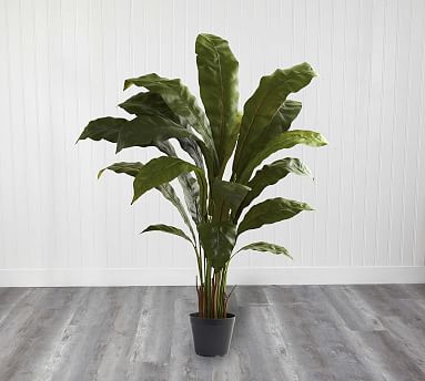 Faux Birds Nest Plant | Pottery Barn