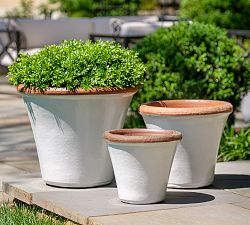 Juliet Glazed Terracotta Planters