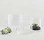 Aegean Clear Glass Vases