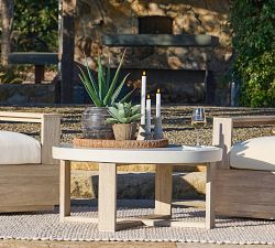 Faux Potted Aloe Succulent