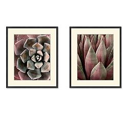 Rouge Agave Framed Prints