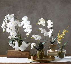 Faux Orchid