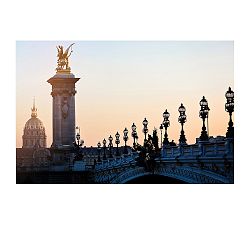 Ponte Alexandre Picnic Framed Print by Rebecca Plotnick