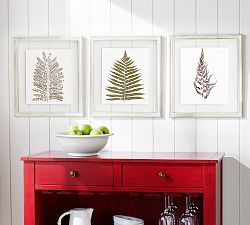 Pressed Fern Wall Art - Set of 3