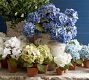 Eclectic Villa Outdoor Planters