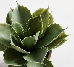 Faux Potted Aloe Succulent