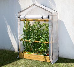 Vegetable Greenhouse &amp; Cover