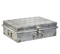 Calvin Metal Trunk