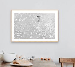 Morning Bird Print By Lannie Hall