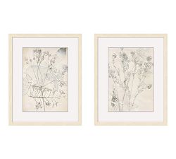 Ivory Foliage Prints