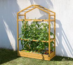 Vegetable Greenhouse &amp; Cover