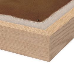 Nova by Jordan Nicole