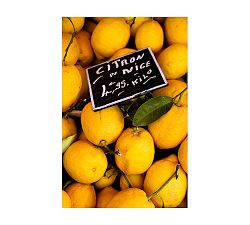 Lemons in the South of France By Rebecca Plotnick