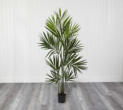 Faux Kentia Palm Silk Tree