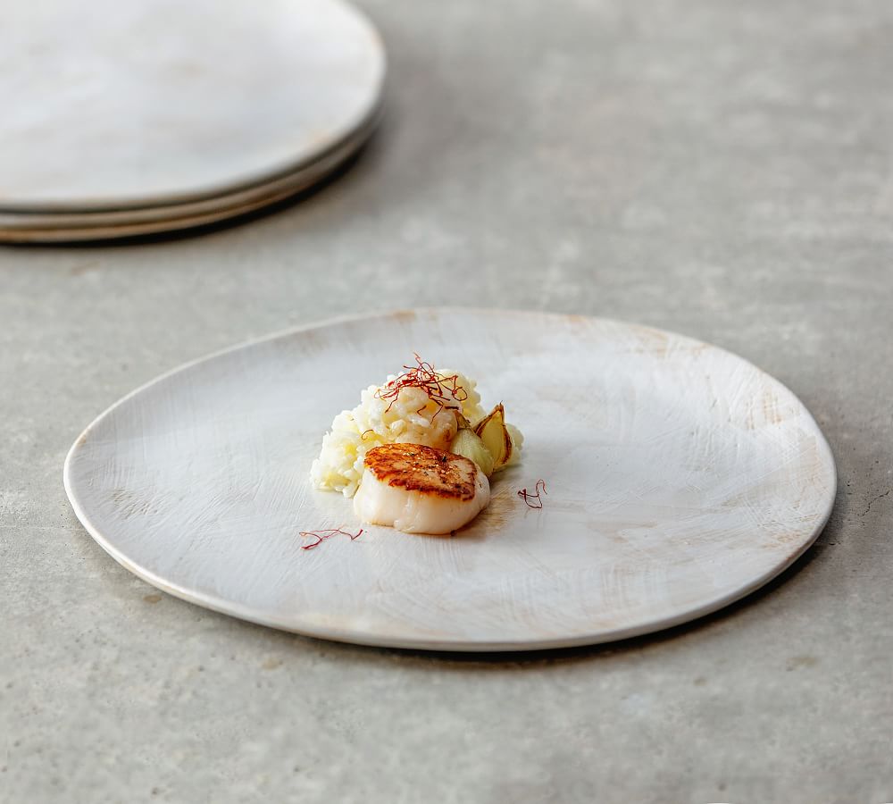 Fortessa Cloud Terre No. 2 Stoneware Dinner Plates - Set of 4 by Pottery Barn