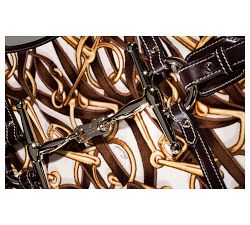 Gucci: The Making Of by Frida Giannini