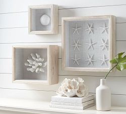 Coral Shadowbox