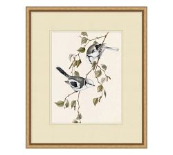 In The Branches Prints