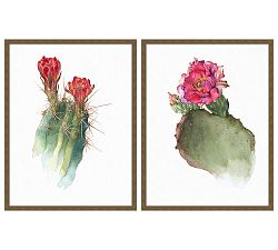 Tucson Bloom Framed Prints