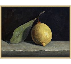 Lemon Still Life Framed Canvas