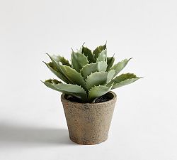 Faux Potted Aloe Succulent