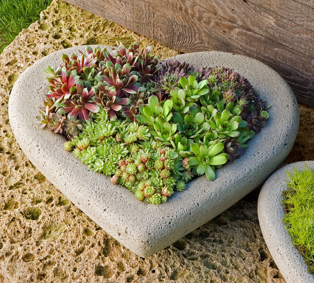 Sweet Heart Planters by Pottery Barn
