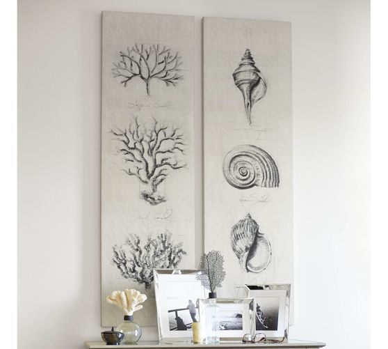 Coral & Shell Canvas