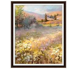 Valley Field Framed Print by Steve Henderson