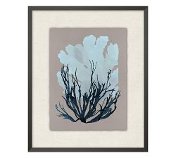 Blue Gray Seagrass