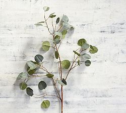 Faux Silver Dollar Eucalyptus Branch